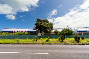 yoshidasyoji tatsugo2025 f3 6940 2